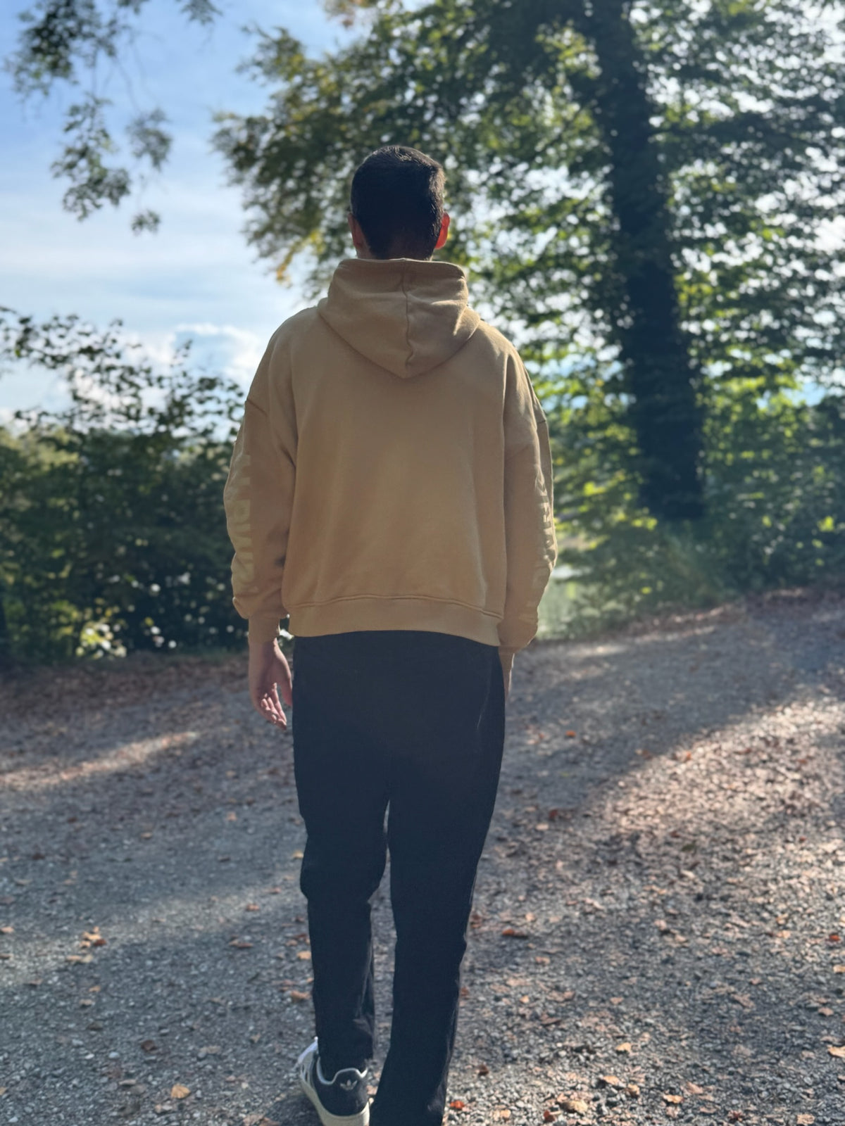 Rückansicht des beigen ALPWRK Signature Hoodies mit Kapuze