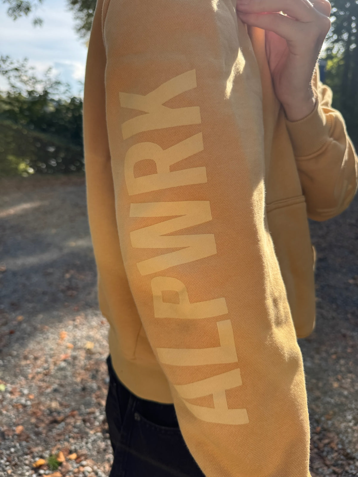 Tonaler ALPWRK Print auf dem Ärmel des beigen Signature Hoodies